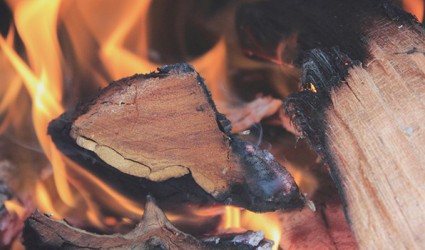 The Right Wood For Your Fire