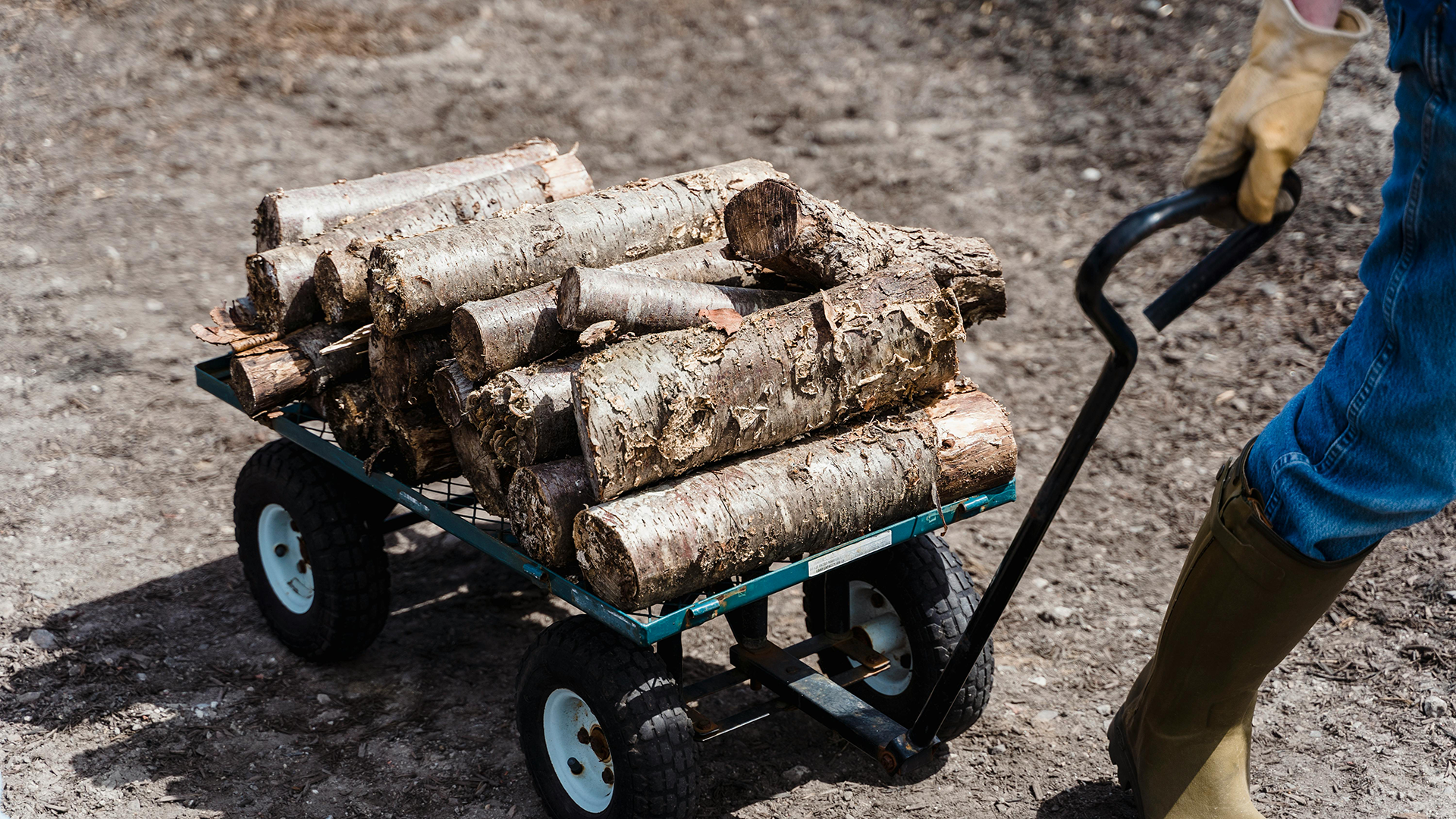 Benefits of Domestic Log Stores in the Home & Garden