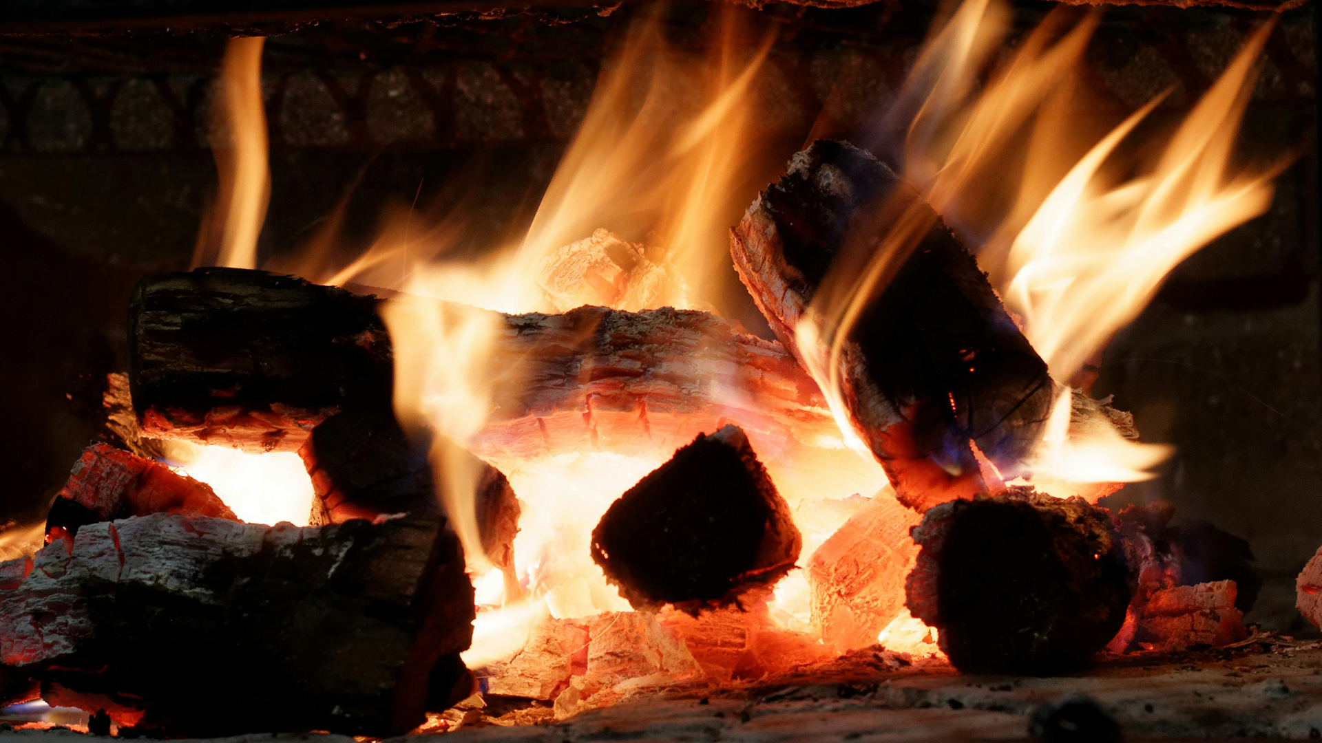 How to Best Store Your Firewood