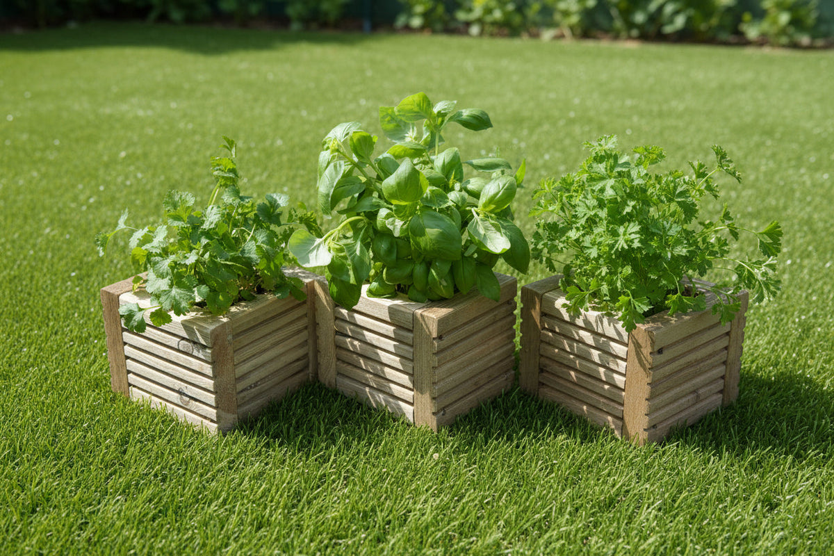 Wooden Decking Herb Planter Boxes - Pack of 3