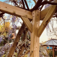 Wall Mounted Box Pergola And Decking Kit